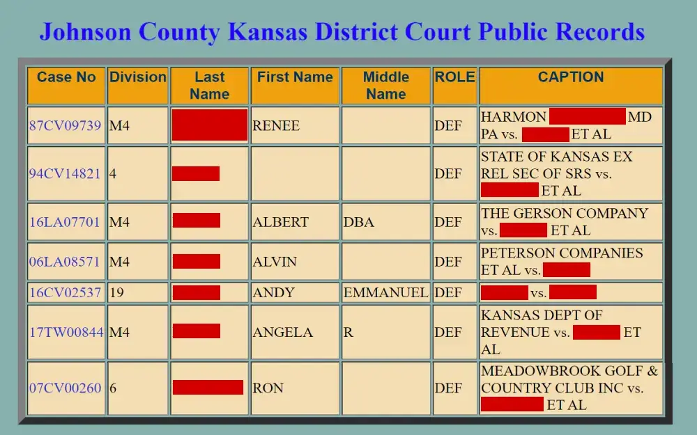 A screenshot displaying search results on the Johnson County Kansas District Court website shows how to find a public civil record showing the case number, division, first, middle and last name, role and caption.